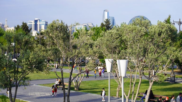 Şehir parkı ve yeşil alanlar, Ankara su yeşil alan ve afet hazırlığı haberi